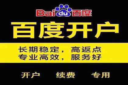 优化SEM广告投放：成功案例分享